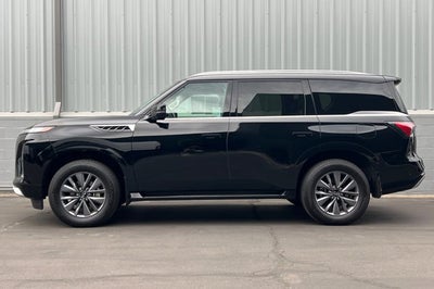 2025 INFINITI QX80 PURE